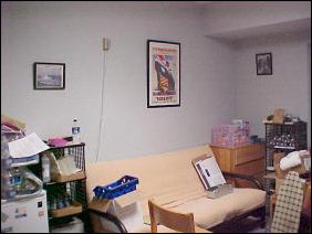 Across from the computer, is the futon, the slang name for which is the "flip 'n f---". Obviously, there will be none of that this year on my futon, as I use it for a couch for studying and watching TV (love that TV card on the computer!).