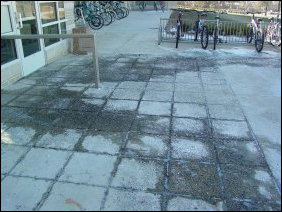 First of all, outside the entry foyer, you can get a feel for how much water was flowing out of the one burst sprinkler by looking at the water flows. As you can see, this was no small flood!