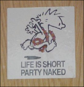 What would Bill Watterson say if he saw this? Still, life is short, but I don't know about partying naked... What would Bill Watterson say if he saw this? Still, life is short, but I don't know about partying naked...