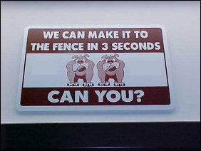 If you want to run like the big dogs, you have to make it to the fence in three seconds. Can you? If you want to run like the big dogs, you have to make it to the fence in three seconds. Can you?