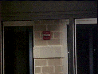 To get these wonderful strobes, I used the newly-discovered "multi" function on the Mavica, which takes nine shots in rapid succession, and arranges them in a grid pattern. I then took these two shots, identical except for the strobe light, and made the animation. To get these wonderful strobes, I used the newly-discovered "multi" function on the Mavica, which takes nine shots in rapid succession, and arranges them in a grid pattern. I then took these two shots, identical except for the strobe light, and made the animation.